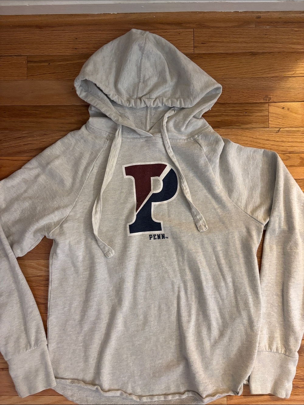 Vintage look Penn Gray Hooded Sweatshirt - Soft Pullover